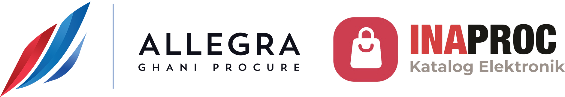 CV ALLEGRA GHANI PROCURE
